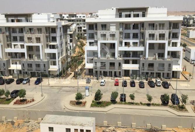 7936974 - Property Image 3