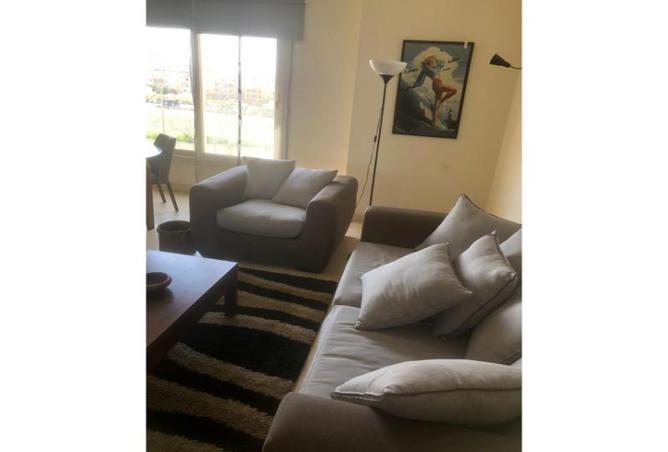 7986595 - Property Image 2