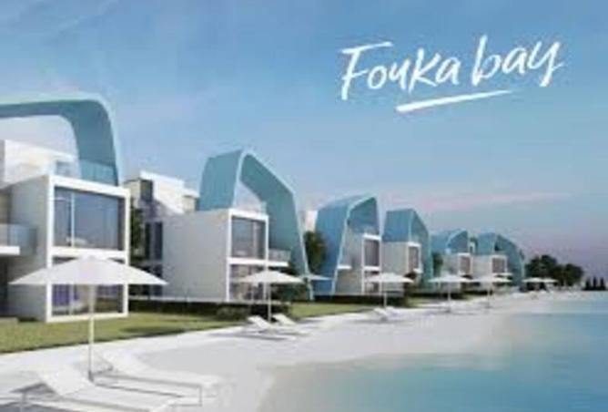 8428225 - صورة العقار 3