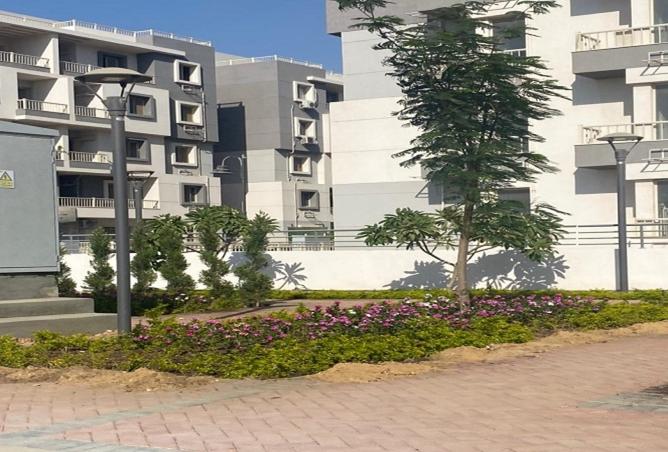 8108847 - Property Image 3