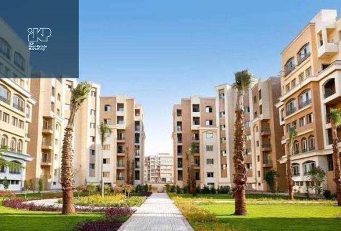 7924681 - Property Image 3