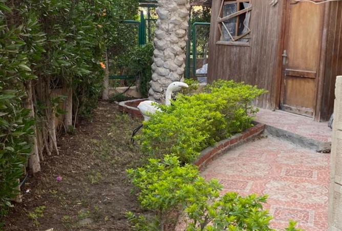 8209481 - صورة العقار 2