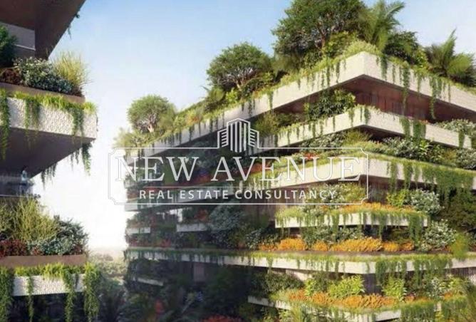 8352989 - Property Image 2