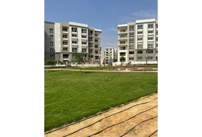 7969822 - صورة العقار 3