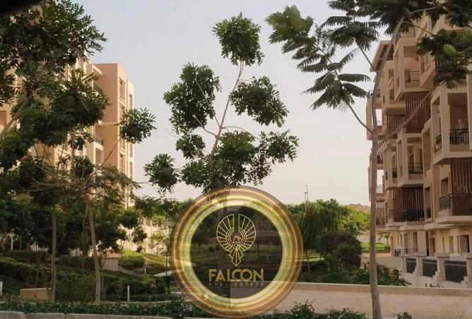 8063656 - صورة العقار 3