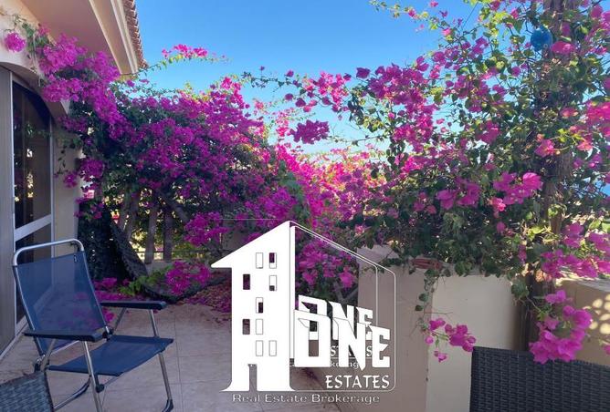 8264183 - صورة العقار 3