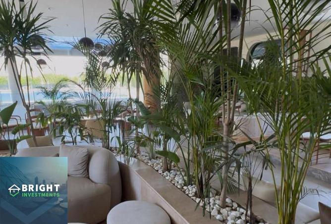 8387695 - Property Image 3