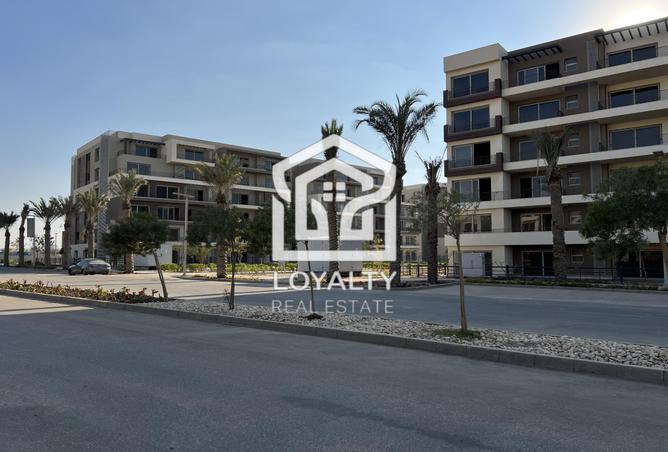 7969775 - صورة العقار 3
