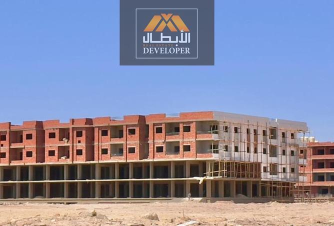 7916537 - Property Image 3