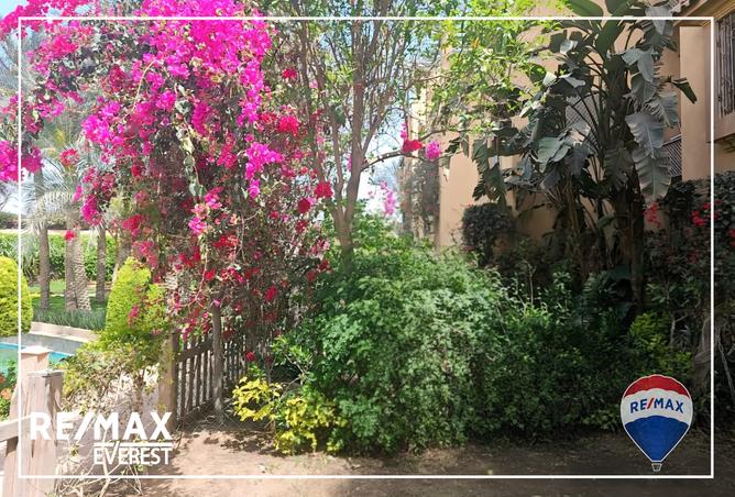 7973723 - صورة العقار 3