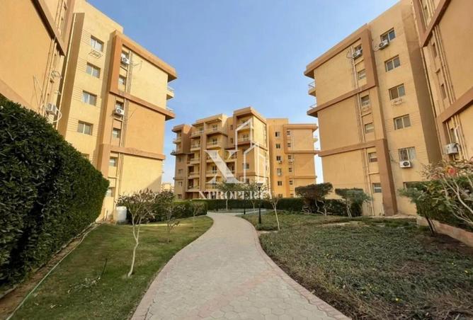 8394284 - صورة العقار 3