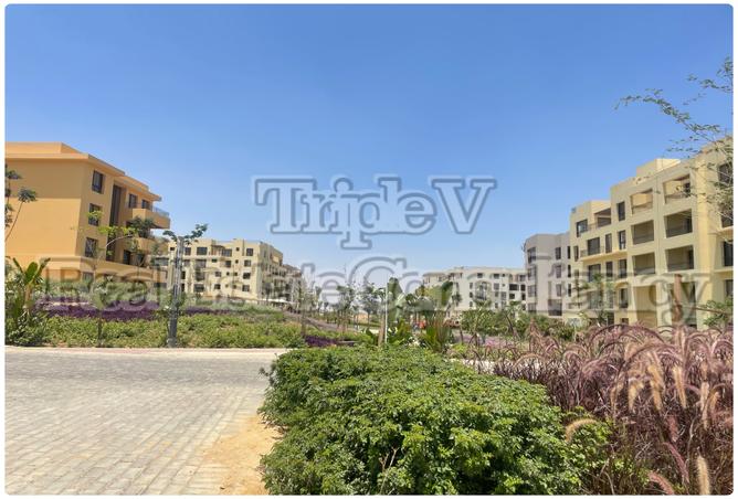 7987063 - Property Image 3