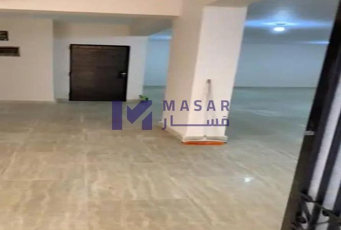 8103282 - Property Image 3