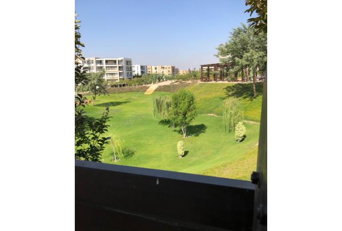 8546382 - Property Image 3