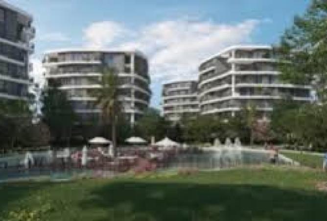 8341057 - Property Image 2