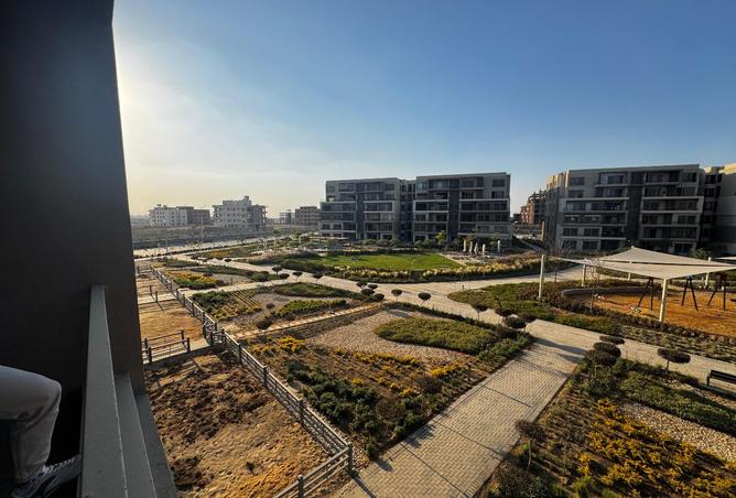 8304850 - صورة العقار 3