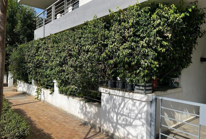 8454827 - صورة العقار 3