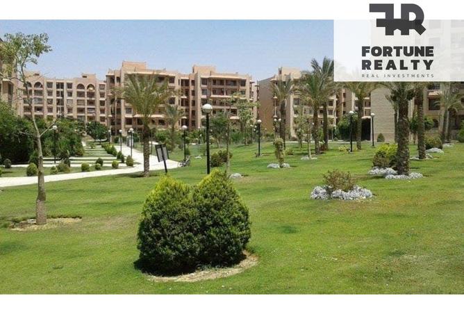 8338571 - Property Image 3