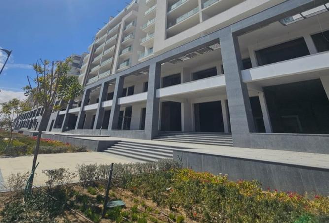 8096101 - Property Image 3