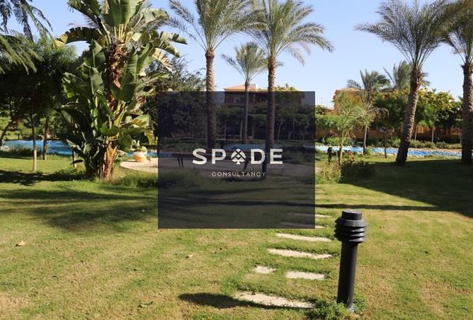 8186255 - Property Image 2