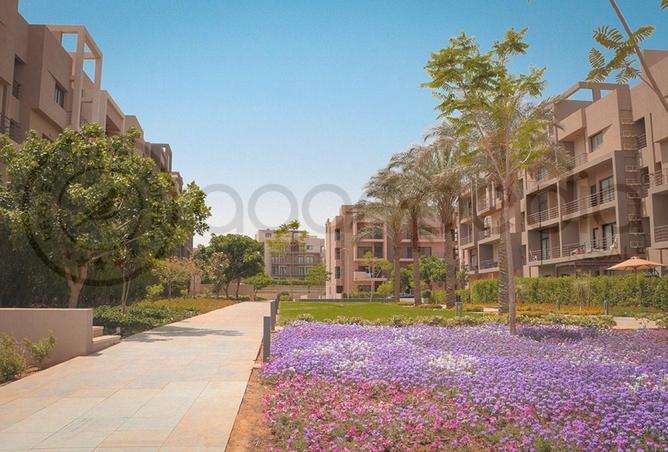 8213375 - صورة العقار 2