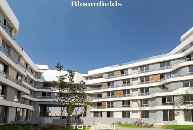 8345862 - Property Image 3