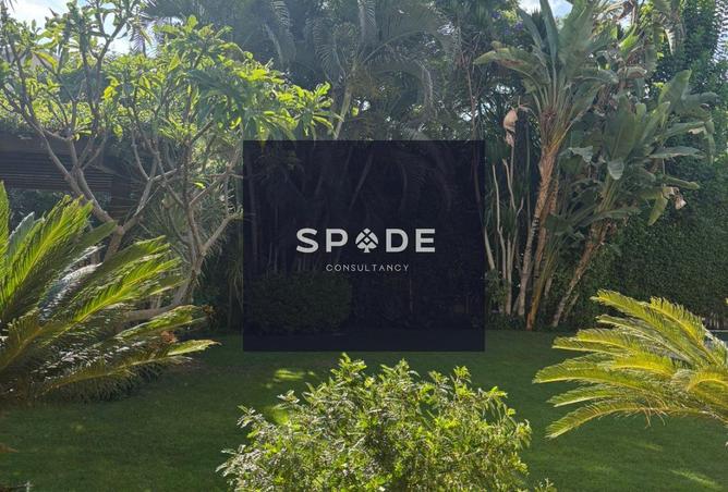 8192567 - صورة العقار 3