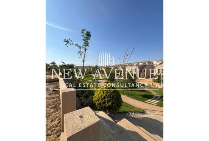 8206275 - صورة العقار 3