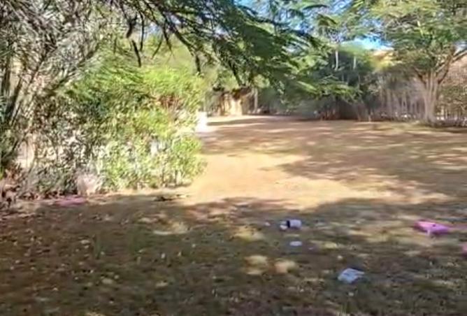 8561982 - صورة العقار 2