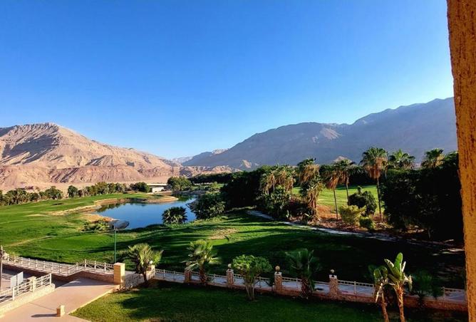 7949015 - صورة العقار 3