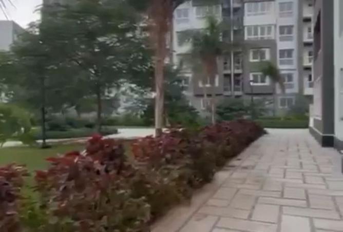 8255581 - Property Main Image