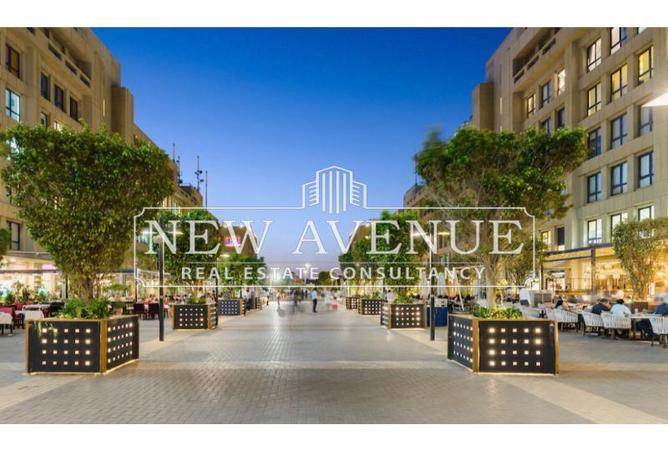 8212392 - Property Image 2