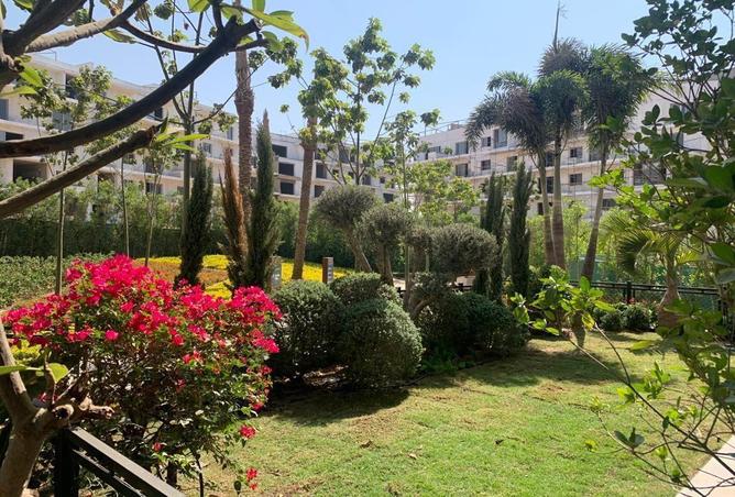 7997627 - الصورة الرئيسية للعقار