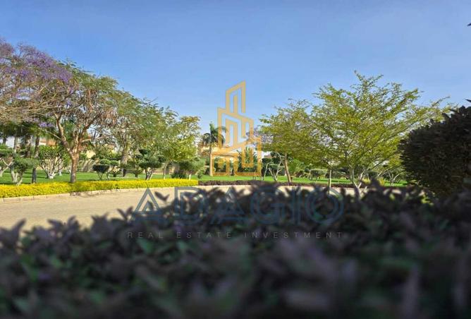 8530691 - Property Image 3