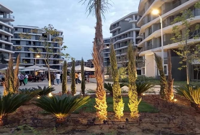 8526873 - Property Image 3