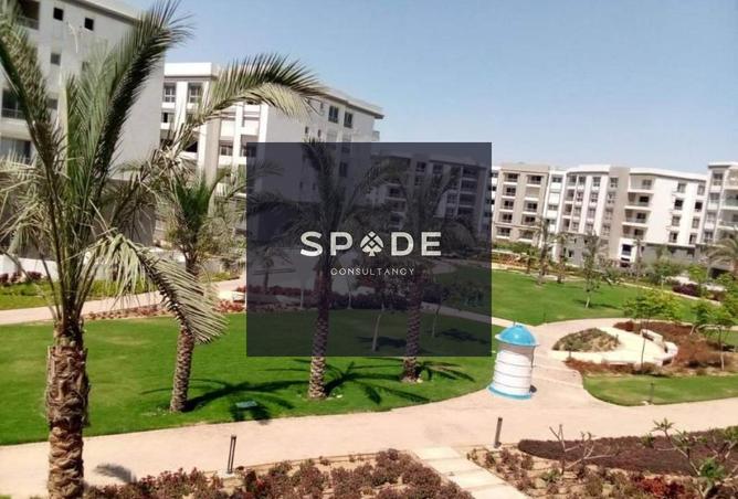 7732113 - صورة العقار 2