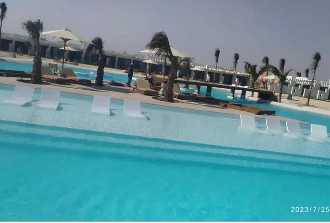 7886232 - صورة العقار 2
