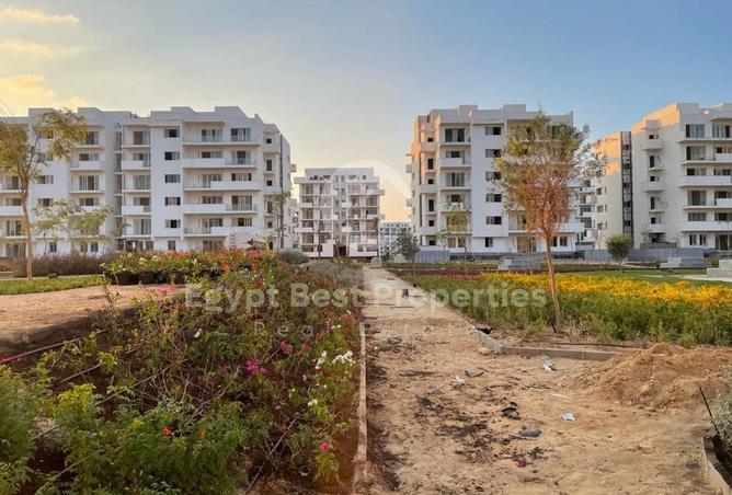 7899995 - Property Image 3