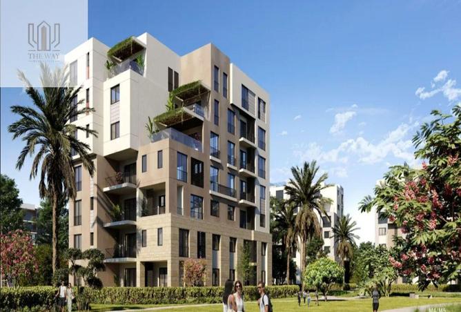 8003885 - Property Image 3