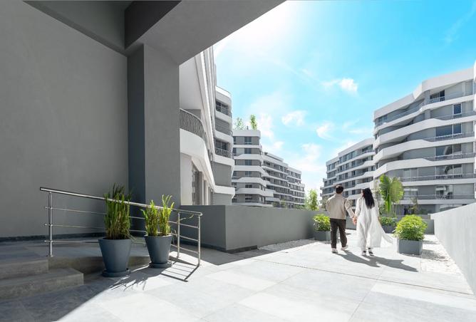 8136970 - Property Image 2