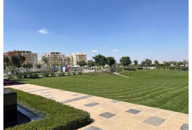 8308212 - صورة العقار 3