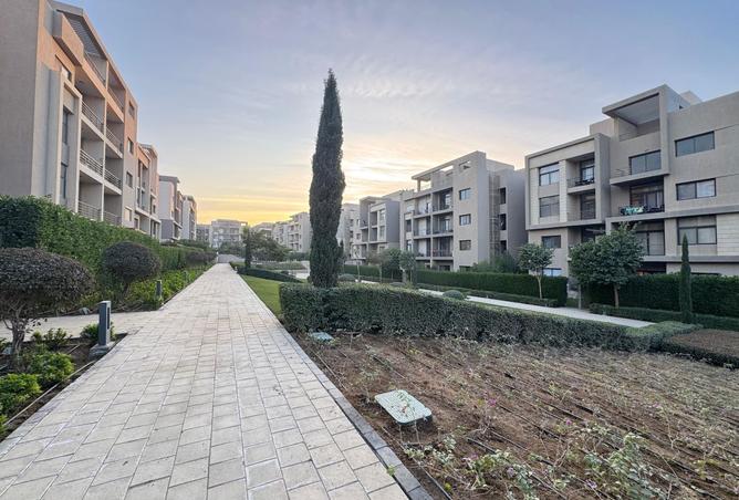 8224586 - Property Main Image