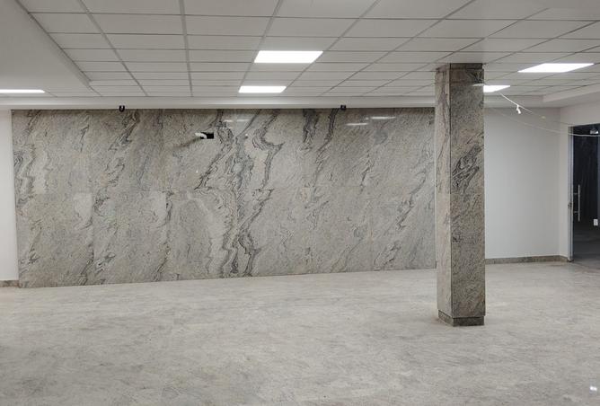 8036993 - صورة العقار 2