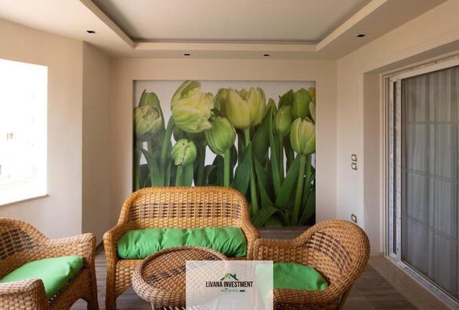 8534739 - Property Image 3