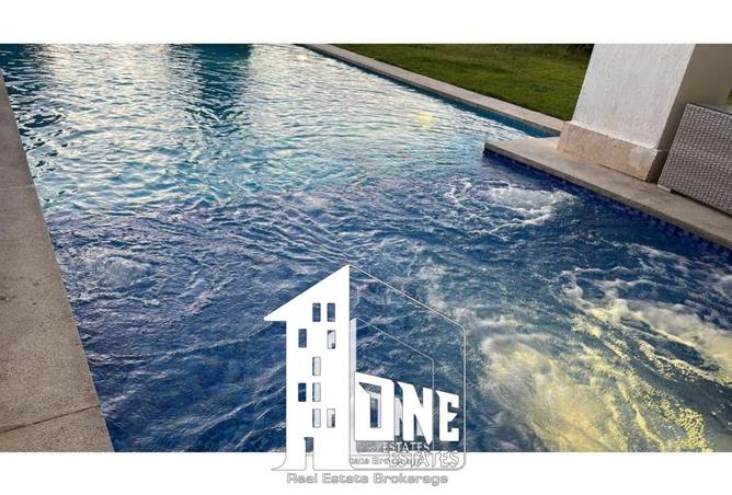 8125980 - Property Image 3