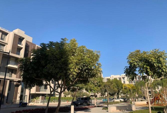 8341265 - Property Image 2