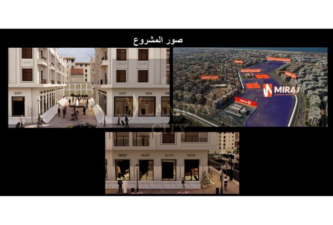 8425763 - Property Image 2