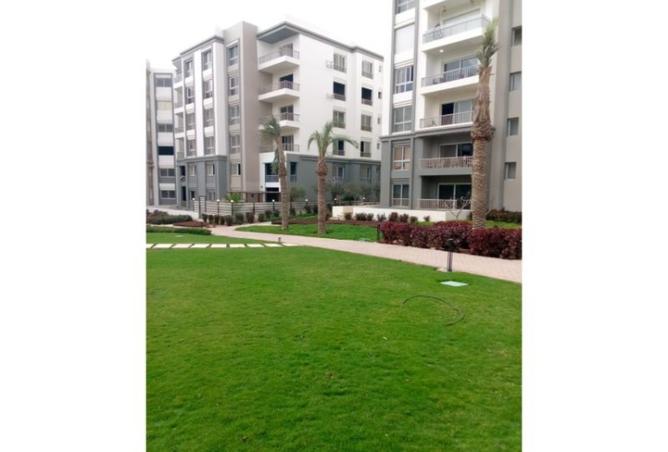 8211056 - Property Image 2