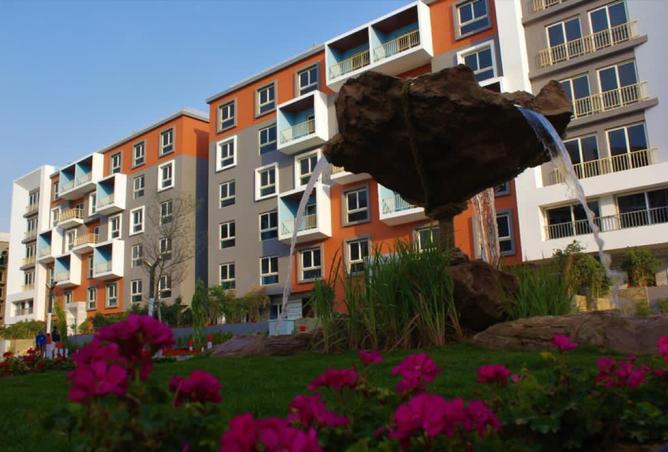 8006479 - Property Main Image