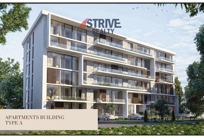 8226729 - Property Image 3